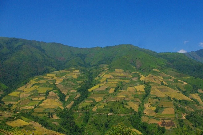 Terraced paddy fields in Chieng An - ảnh 5